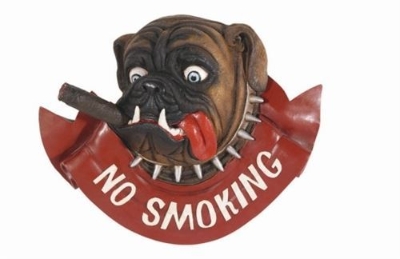 Picture of r950-No Smoking